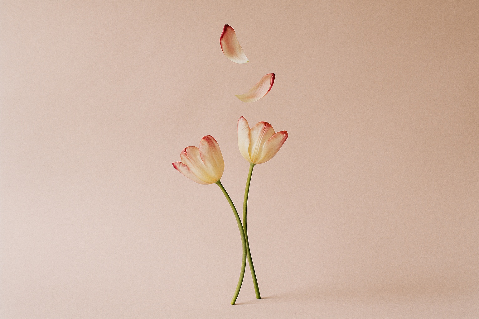 Using Your Insurance for Breast Reduction and Breast Reconstruction